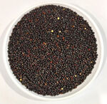 Насіння Ріпаку 1 кг (Насіння країни)