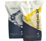 Гібрид соняшника Аркона Сумо преміум 2024