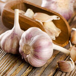 Часник посадковий Germidour (Гермидор) 100 г