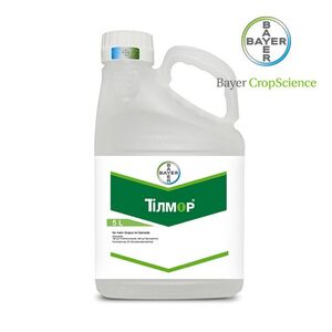 Тілмор (Байєр, Germany) 