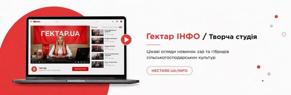 Банер1