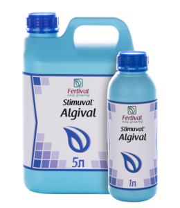 Алгивал (Stimuval ALGIVAL) (Фертіваль, Spain) 