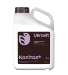 Капітал, КС