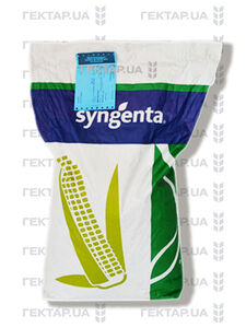 Пандорас_укр 80К (Сингента, Switzerland) 