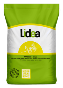 Семена озимого рапса КС КАЛКУЛАТИ (Lidea (Євраліс), Ukraine) 