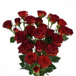 Троянди спрей Браун Шугер (Brown Sugar)