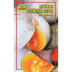 Насіння гарбуза Волзький сірий 2 г (Насіння країни)