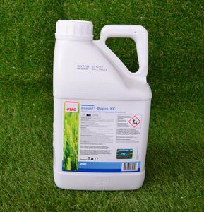 Винцит Форте (FMC, United States) 