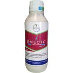 Эместо Квантум