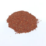 Насіння редьки Дайкон 0,5 кг