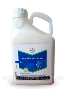 Бискайя (Байєр, Germany) 