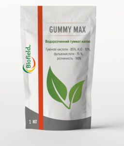 Сухий гумат калію  Gummy Max (Biofield, Україна) 