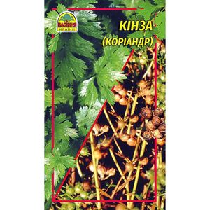Семена Кинза (кориандр) 20 г (Насіння країни) (А-маркет, Ukraine) 