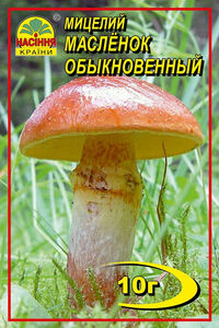 Маслянок 10 г (А-маркет, Ukraine) 