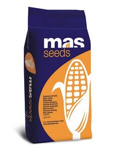 Мас 30.M Маїсадур  (MASSEEDS, France) 