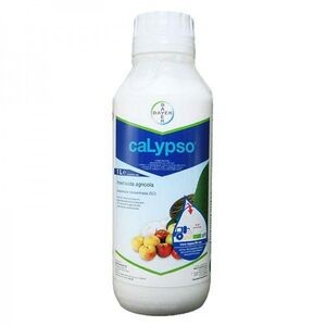 Каліпсо (Байєр, Germany) 