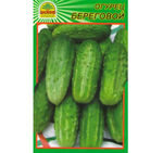 Насіння огірка Береговий 0,5 г (Насіння країни)