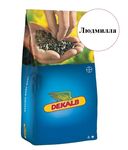 Семена подсолнуха Людмилла