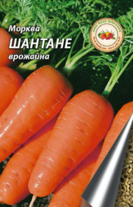 Морква Шантане КЛ (ППЗ Насіння, Netherlands) 