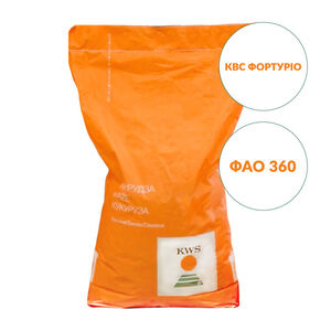 Насіння кукурудзи КВС Фортуріо (KWS, Україна) 