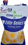 Семена Подсолнуха ЕС Саксон(Премиум)