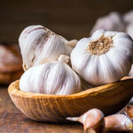 Часник посадковий озимий Messidrome (Мессидром)  100 г