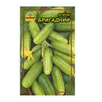 Насіння огірка Бригадний 5 г (Насіння країни)