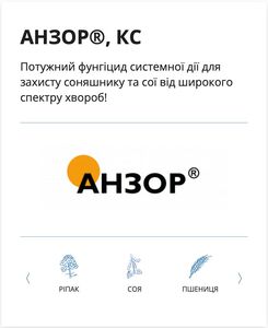 Анзор (Самміт-Агро, Japan) 