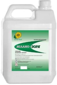 Мілано - Зоря (-, Ukraine) 