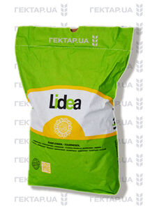 Слава ЕС Максим XL+Пончо (Lidea (Євраліс), Ukraine) 