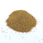 Насіння моркви Шантане 0,5 кг