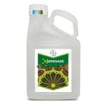 Серенада АСО