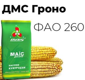 Насіння  кукурудзи ДМС Гроно (Маїс Дніпро, Ukraine) 