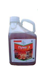 Пума Супер (Байєр, Germany) 