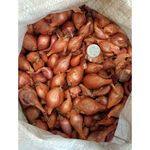 Цибуля Шалот сівок Кущівка 0,5 кг