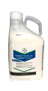 Коннект  (Байєр, Germany) 