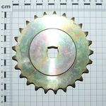 G16630420R Зірочка Z-25