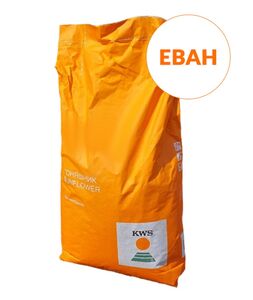 Еван  (KWS, Україна) 