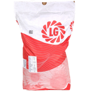 Семена подсолнуха ЛГ50487 ХО КЛП (Лімагрейн, France) 