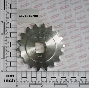 G17131570R Звёздочка Z18 5/8-3/8 Q.20,5 ZN (Gaspardo, Italy) 