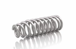 G16940510R Пружина компресійна