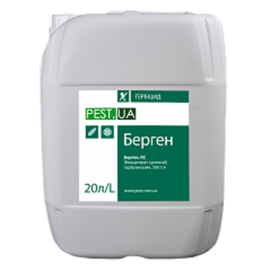 Берген (Пест, Ukraine) 