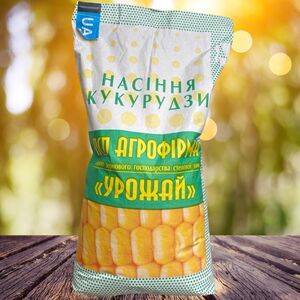 Кукурудза Хотин ДБ (Дощ Україна, Ukraine) 