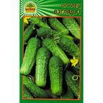 Насіння огірка Погляд F1 15 шт. (Насіння країни)