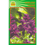 Насіння Сальвія синя 10 шт. (Насіння країни)