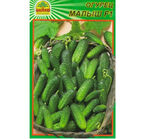 Насіння огірка Малюк F1 15 шт. (Насіння країни)