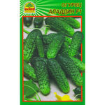 Насіння огірка Аладдін F1 15 шт. (Насіння країни)