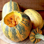 Насіння гарбуза Український багатоплідний 0,5 кг