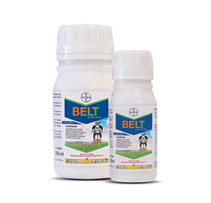 Белт 1л (Байєр, Germany) 