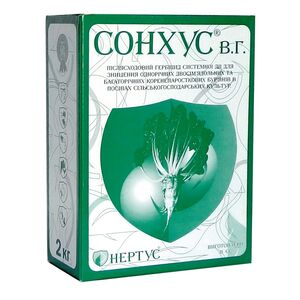 СОНХУС (Нертус, Hungary) 